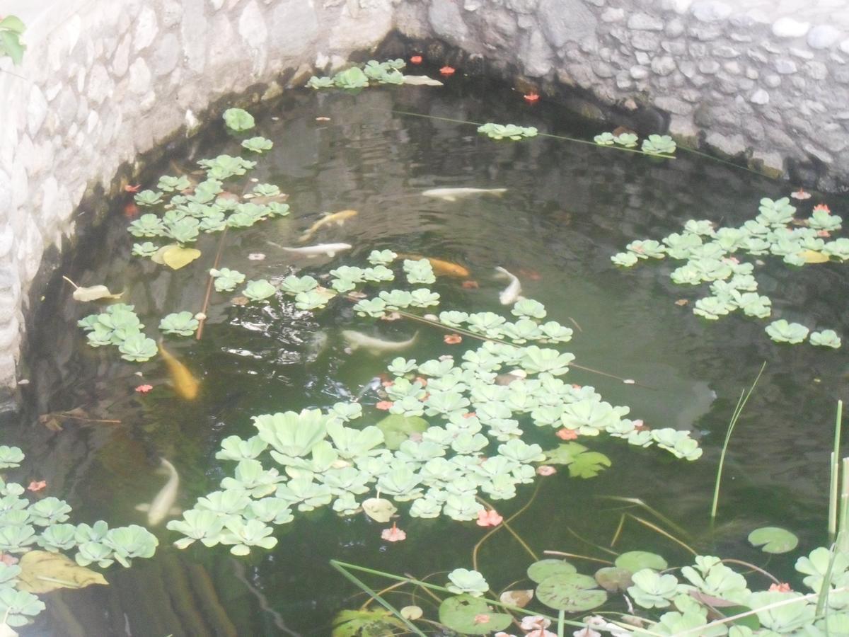 Garden Roomz Oman Maskat Exterior foto