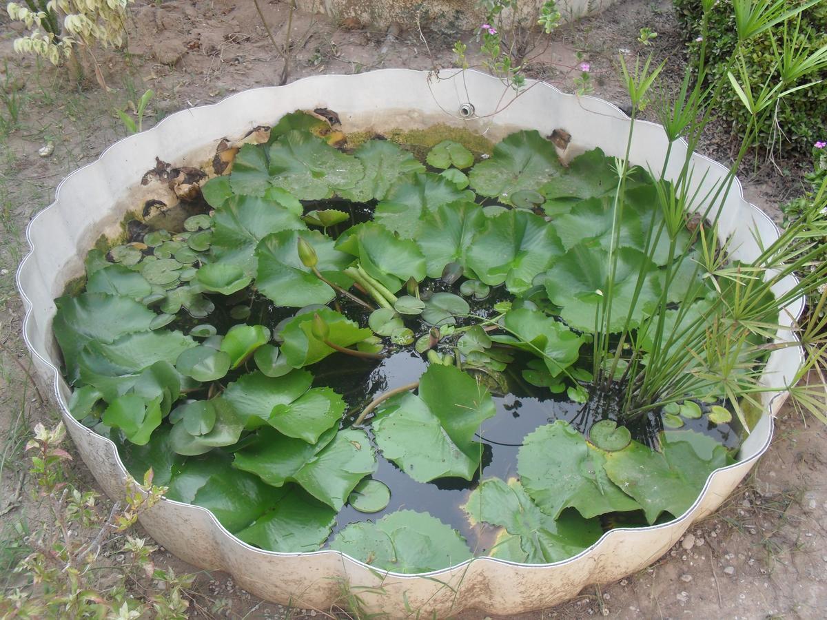 Garden Roomz Oman Maskat Exterior foto
