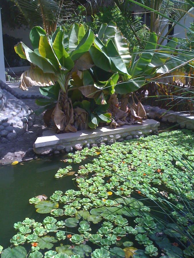 Garden Roomz Oman Maskat Exterior foto