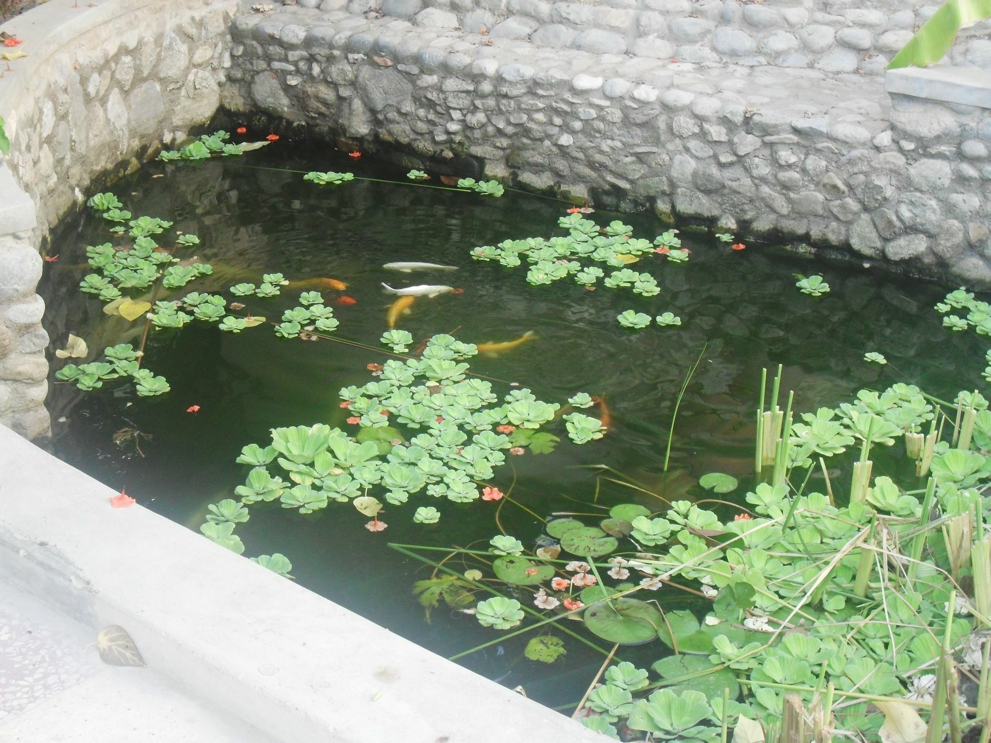 Garden Roomz Oman Maskat Exterior foto